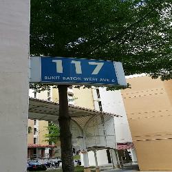 Blk 117 Bukit Batok West Avenue 6 (Bukit Batok), HDB 5 Rooms #56694472
